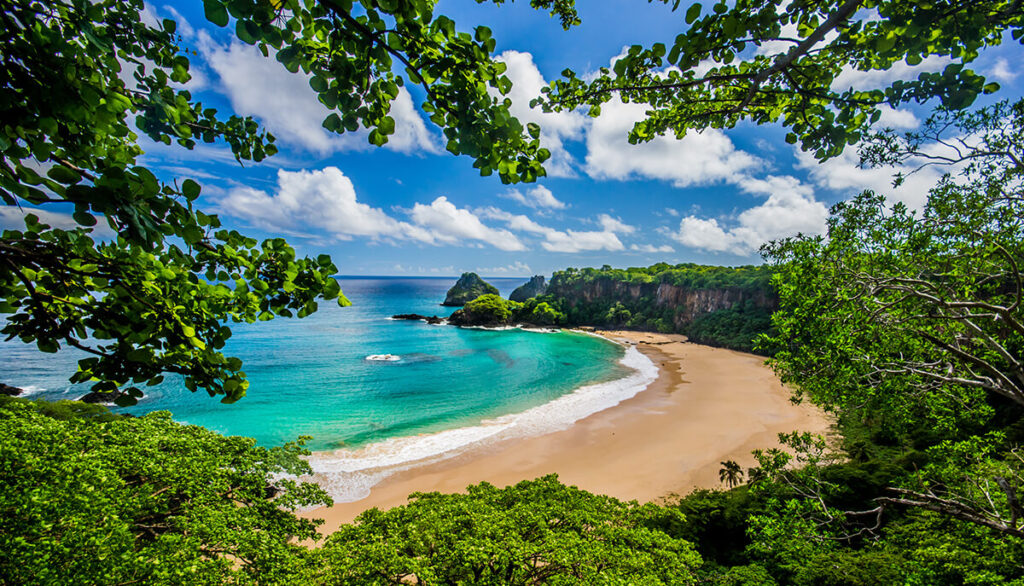 Picture of Baia do Sancho through leaves.