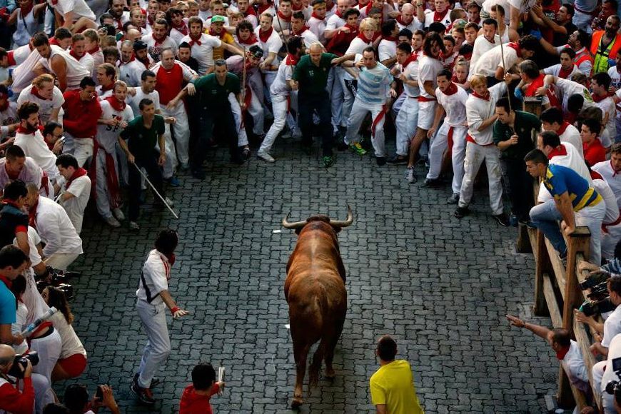 Bull surrounded by men during Pamplona Bull run in Spain