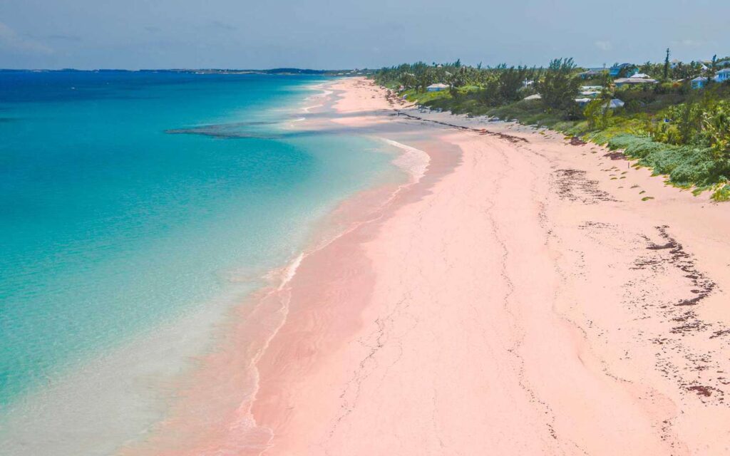 Picture of the Pink Sands Beach on a sunny midday.