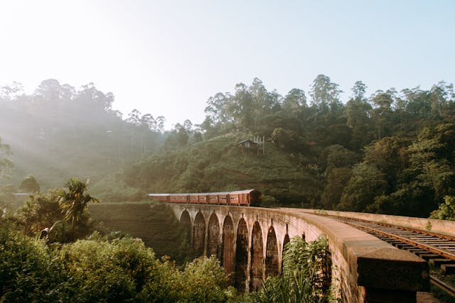 Train crossing an ancient bridge in a rural village in Sri Lanka